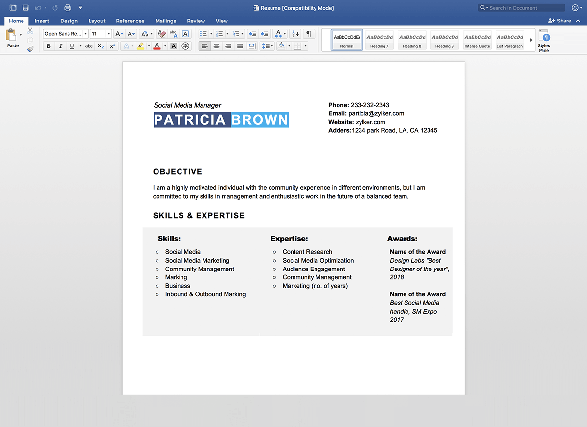 MS Word Compatibility
